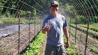 BUILDING A 50' MELON TUNNEL!! - Maximizing Space In The Market Garden