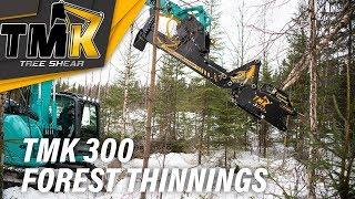 Forest Thinning with TMK 300 // TMK Tree Shear