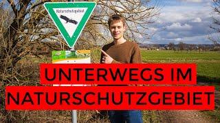 Vögel beobachten - VLOG Elzwiesen und Rheinauen