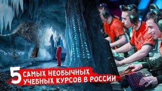 5 самых СТРАННЫХ ОБУЧАЮЩИХ КУРСОВ в Российских вузах! НЕОБЫЧНЫЕ ПРОФЕССИИ #Smapse #smapseeducation