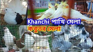 Pakhi Mela || Kabutar Mela || Payra Pakhi Haat || Birds Fair || Pigeon video || Pigeon Fair 2023