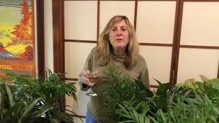 Wine Wednesday... with plants!