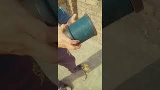 Monofil gold | Unboxing | GREEN | COLOUR| KITE FLYING | GATTU | BEST MANJHA GREEN COLOUR.#shorts