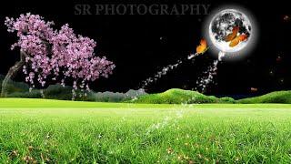 Background Video/Flower Background Video/Background Video Effects hd/Template Video Background