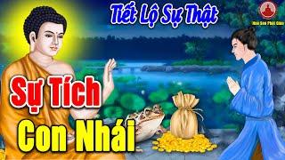 Chuyện Nhân Quả Phật Giáo Mới, Sự Tích Con Nhái - Gieo Nhân Gặt Quả   Báo Ứng Hiện Đời, Nghe Mà Sợ