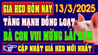 Giá heo hơi ngày 13/3/2025 - GIỮ MỨC TĂNG CAO, BÀ CON CHĂN NUÔI ĐANG LÃI ĐẬM