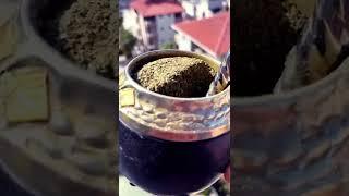 Есть тут любители мате? #yerbamate #мате #йербамате #маэстромате #yerbacanarias