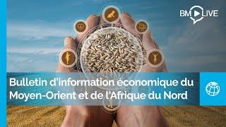 Destins bouleversés : Bulletin d’information économique du Moyen-Orient et de l’Afrique du Nord