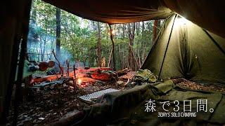 Echoes of Summer - 3 Days bushcraft camp as Autumn Takes Over the Forest in japan