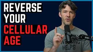 The Best Way to Slow Aging + Protect Brain Function