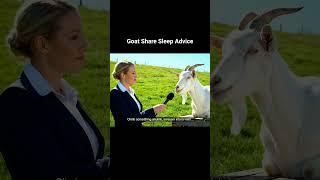Goat Gives Sleep Advice to Humans #veo3 #animals #sleep #funny #viral #aivideo #realistic #google