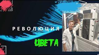 Революция Цвета