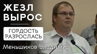 Меньшиков Владимир | Жезл вырос - гордость разрослась | Проповедь на ХIII съезде ОЦХВЕ России