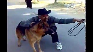 Accuracy training by Pakistan dog trainer