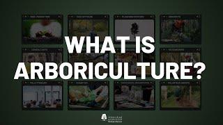 What is Arboriculture?