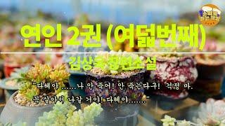 [장편소설읽어드립니다] 연인2권(여덟번째) ⼁김상옥 작가⼁"매몰자 네 명의 생사 여부도 아직 확인이 안되고 있습니다. 구출 갱도를 뚫는 작업을 하고 있으나 밀리는 토사로 인해 ."