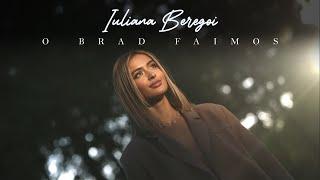 Iuliana Beregoi - O, brad faimos [ Official video ]