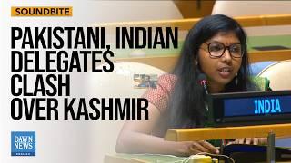 Pakistan, Indian Delegates Clash Over Indian Occupied Kashmir | Dawn News English