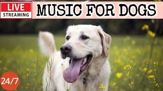 [LIVE] Dog MusicDog Calming MusicSeparation Anxiety Relief MusicSleeping Music For Dogs2-3