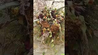 English Autumn garden 영국 가을 풍경
