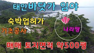 [물건번호 270번] 태안군 이원면 바닷가 임야 입니다. 숙박업허가 받은 토지입니다. 500평 분할해서 매매합니다