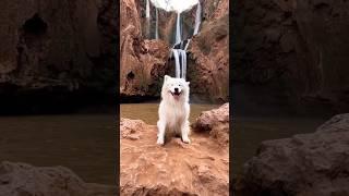 Most beautiful places in Morocco   | #shorts #travel #explore #nature #adventure #morocco