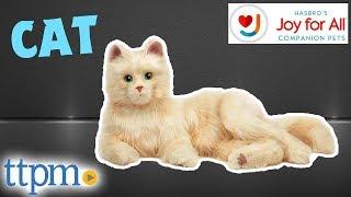 Joy for All Companion Pet Cat Review | Hasbro Toys & Games