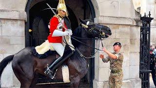 Incredible Horse Rescue: Royal Guard's Unforgettable Act of Heroism