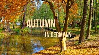 Autumn in Germany | Fall Season in Germany