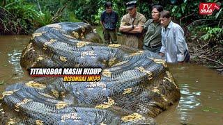 Explore the Amazon Forest for 100 Days!! Prove the World's Largest Snake is Still Alive Today