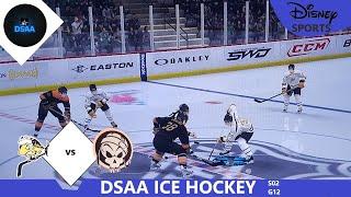 1st vid in 2024 with Co - Commentary HSPLP - DSAA Ice Hockey [ ENG ]