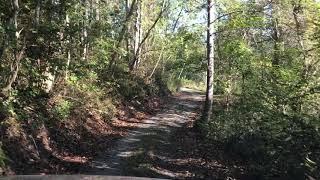 Bear Creek Road to the Cabin