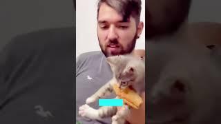  Funniest Animals 2024  New Funny Cats  Videos  Part 183