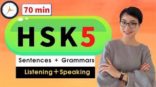 8节 - HSK 5 词汇 听力+词汇训练 - Advanced Chinese Vocabulary with Sentences and Grammar