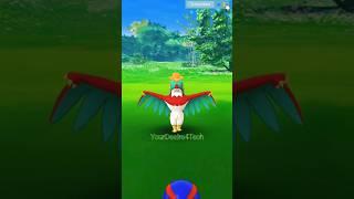 HAWLUCHA New regional Pokémon  |  Pokémon GO 