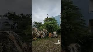 Riêng một góc vườn.