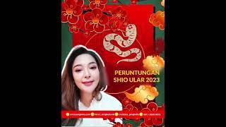 Peruntungan Shio Ular 2023