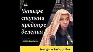 4 степени предопределения. Шейх Хейсам Сархан #предопределение #судьба #жизнь #ислам #сунна #коран