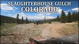 Slaughterhouse Gulch | Napoleon Mountain | Colorado | Taylor Park