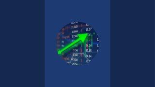 بدأت قناة "بورصة واستثمار - borsa w Astsmar" بثًا مباشرًا