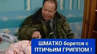 В стране объявлен птичий гриппт прапорщик ШМАТКО проверяет всех кур...