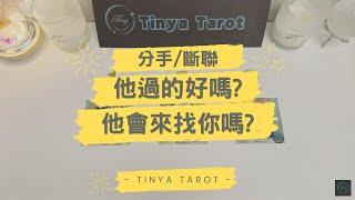 -Tinya Tarot-[分手/斷聯]他過的好嗎?他會來找你嗎?無時間限制