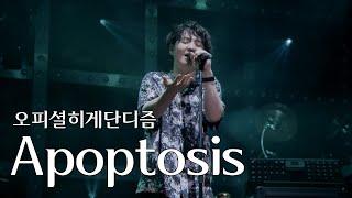 [LIVE] 오피셜히게단디즘(Official髭男dism) - Apoptosis