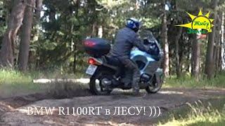 BMW R1100RT. В Лесу.