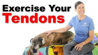 You Should Exercise Your Tendons - See Why!