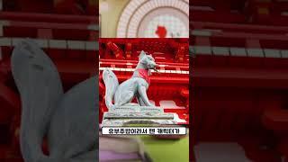 부키 TMI 10가지 2