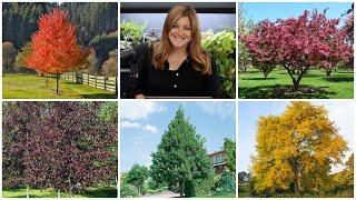 5 Trees I Highly Recommend!   // Garden Answer