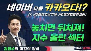 '지수 올린' 섹터를 해라? NAVER 다음 카카오 공략! 조방원, 전력 다음은#김정수 #HD현대건설기계 #HD현대인프라코어