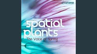 The Voice of Spring