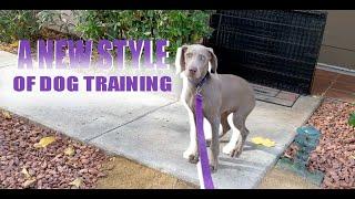 A NEW STYLE OF DOG TRAINING